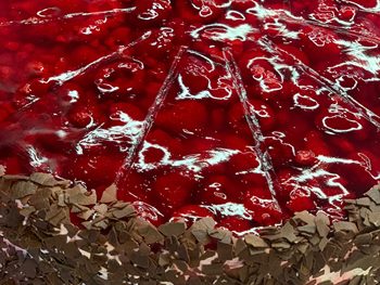 Patisserie Dietert Torten